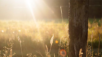 在线短信轰炸网页版