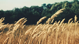 靠谱的购买网站推荐的短信炸弹防护业务