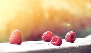 在线短信网页版免费版